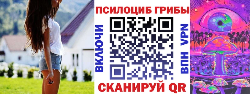 Галлюциногенные грибы Psilocybe  цена наркотик  Оленегорск 